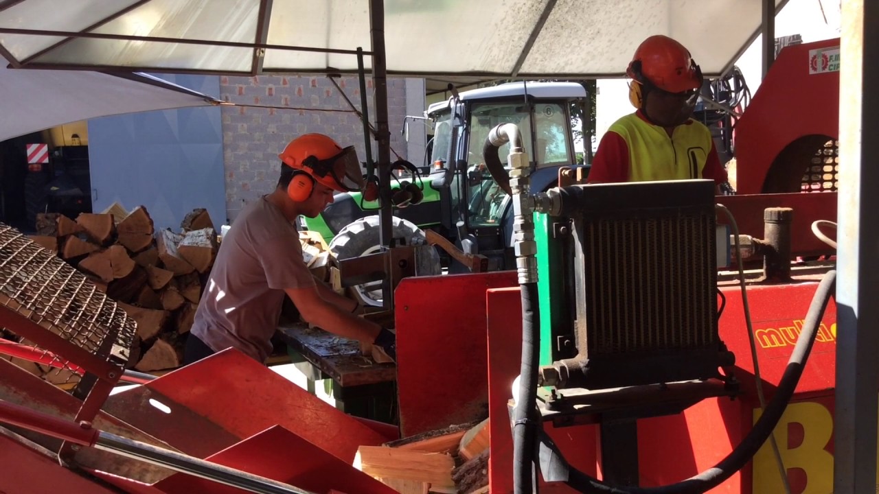 tagliaspaccalegna automatico