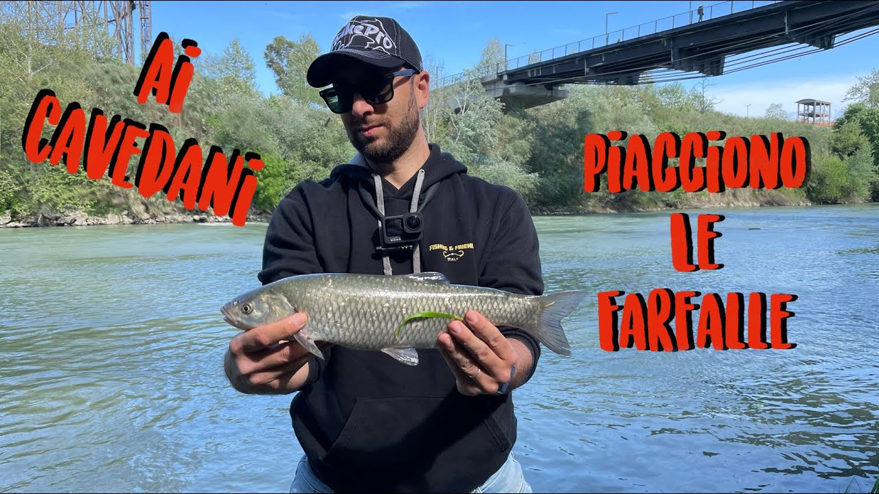 STREET FISHING in Rome VOL 2 Che divertimento pescare CAVEDANI!