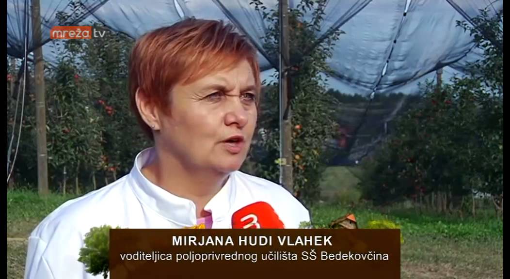 Prerada grožđa u školskom praktikumu