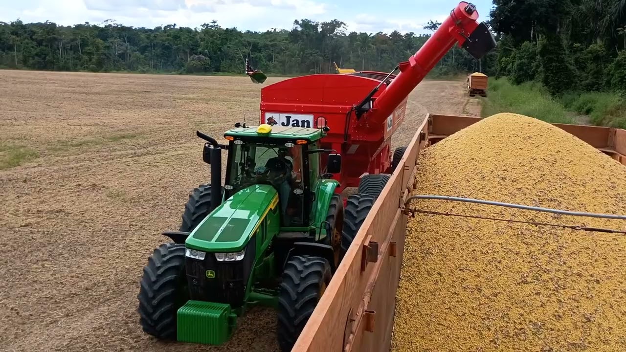Sabadão bruto nois no pega do grão de ouro .agro mt