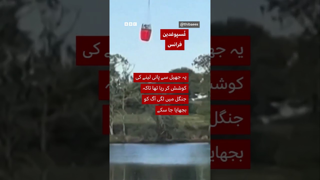 French helicopter crashes into lake - BBC URDU