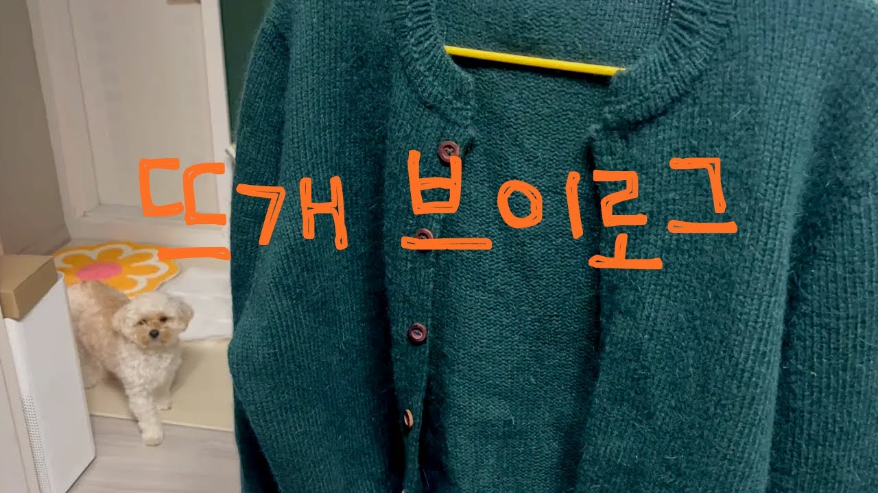 [뜨개로그] 강아지랑 평범한 일상 🐶⎜드디어 완성한 로우키 가디건 💚