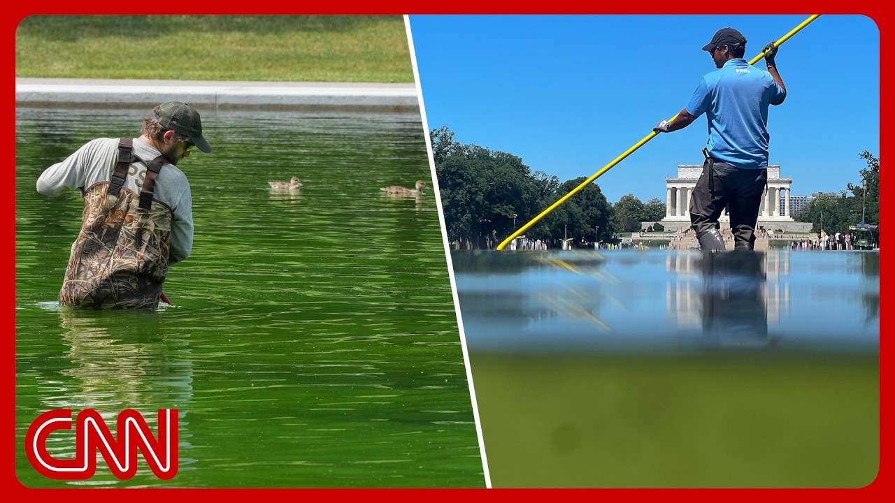 Trump's $14M reflecting pool is turning green