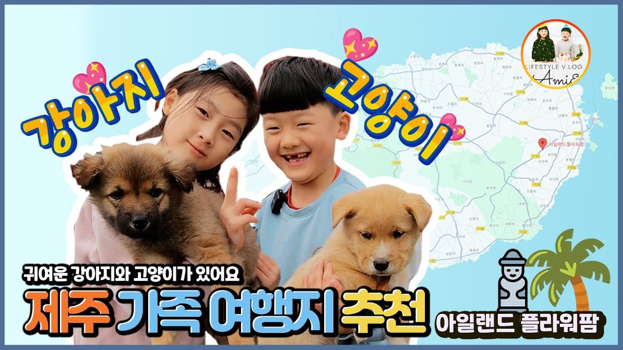 아이랑 제주 동쪽 가볼만한곳_아일랜드 플라워팜(강아지, 고양이 카페)