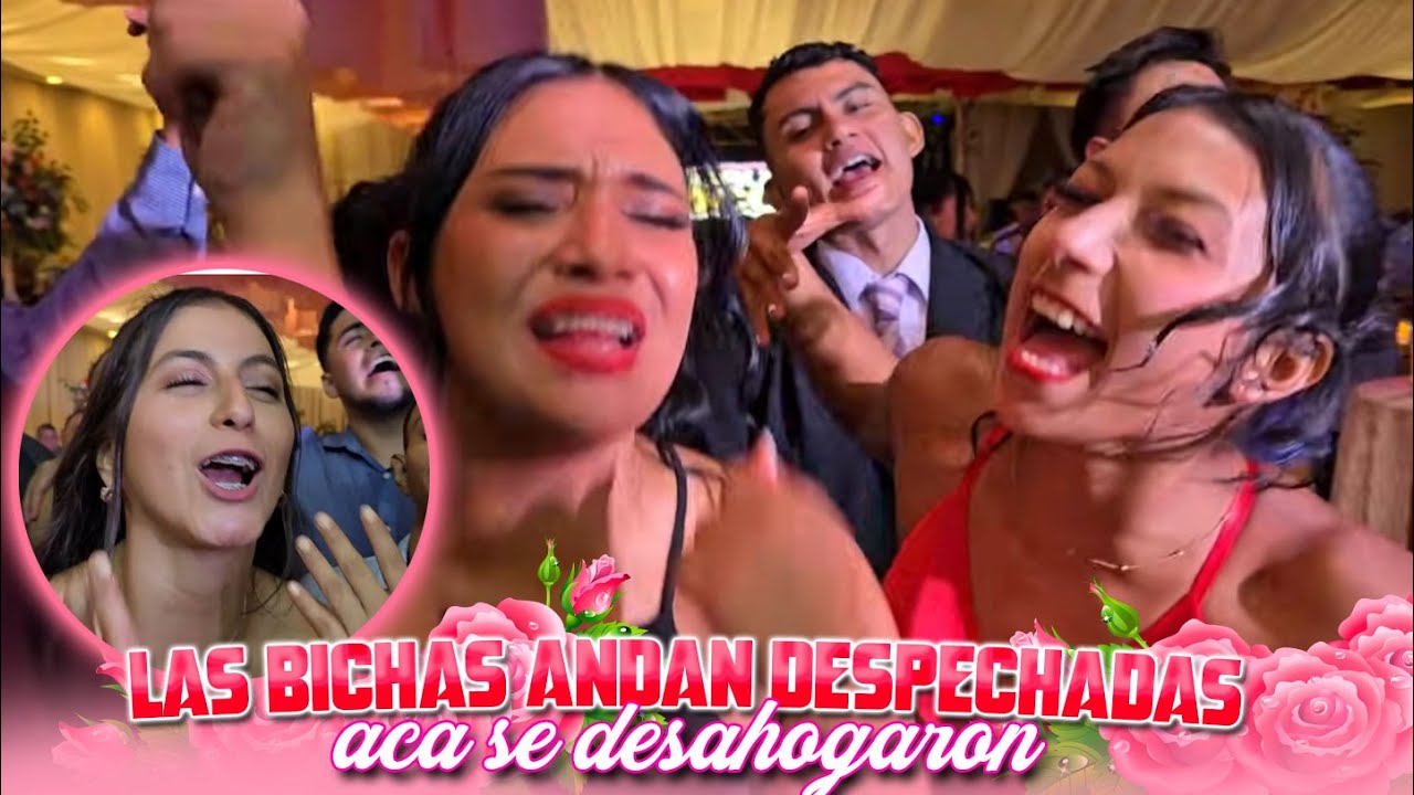 LAS BICHAS ANDAN DESPECHADAS se desahogaron cantado a todo pulmón junto a la banda