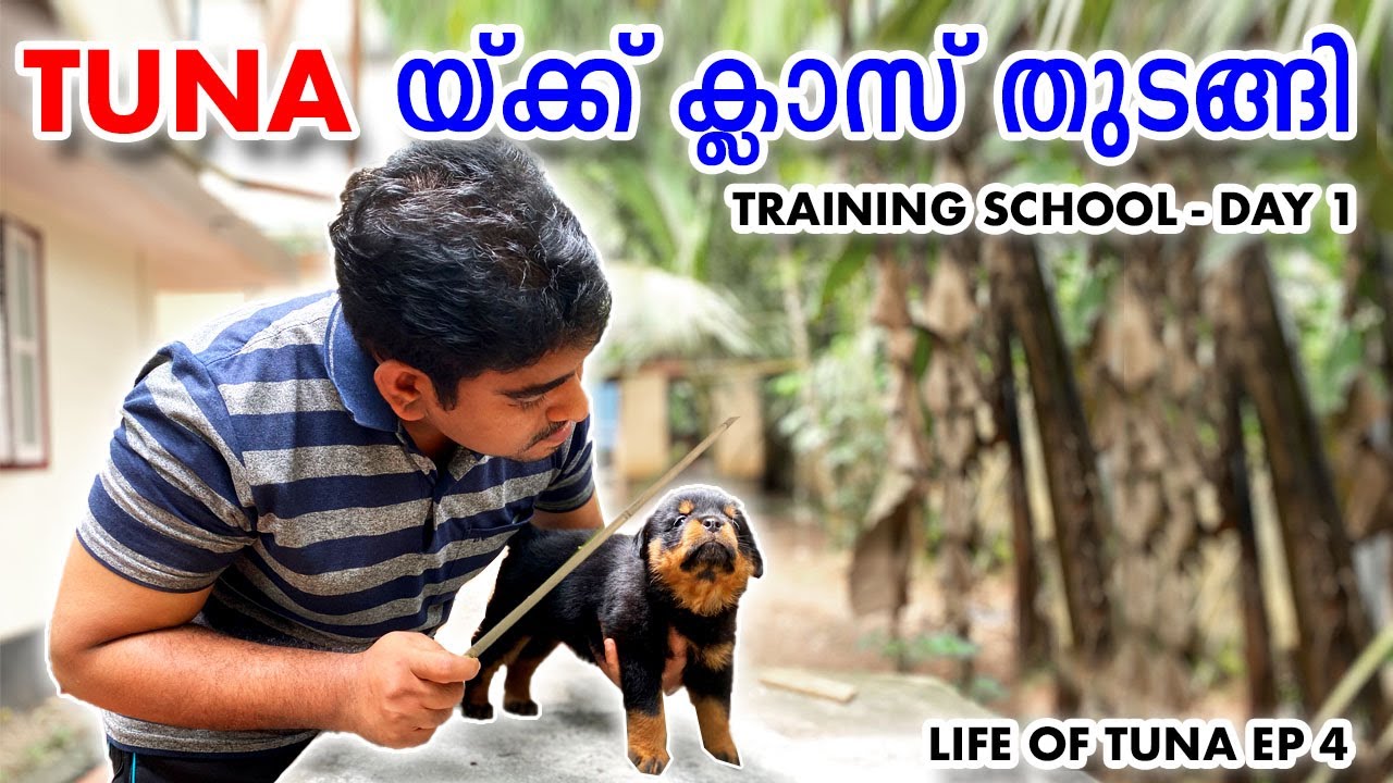 TUNA യ്ക്ക് ക്ലാസ് തുടങ്ങി : LIFE OF TUNA EP4 : NAME, COME HERE, GOOD AND YES TRAINING - DAY ONE