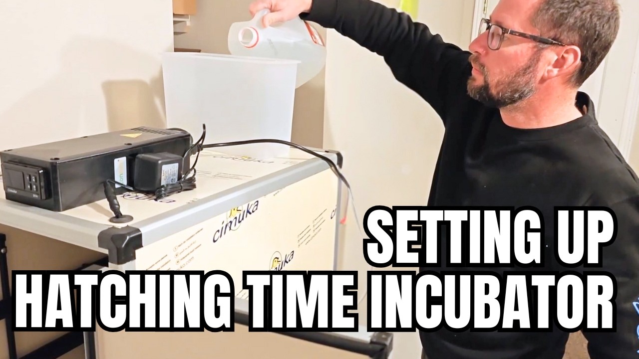 Easy Setup of CT120 SH Incubator