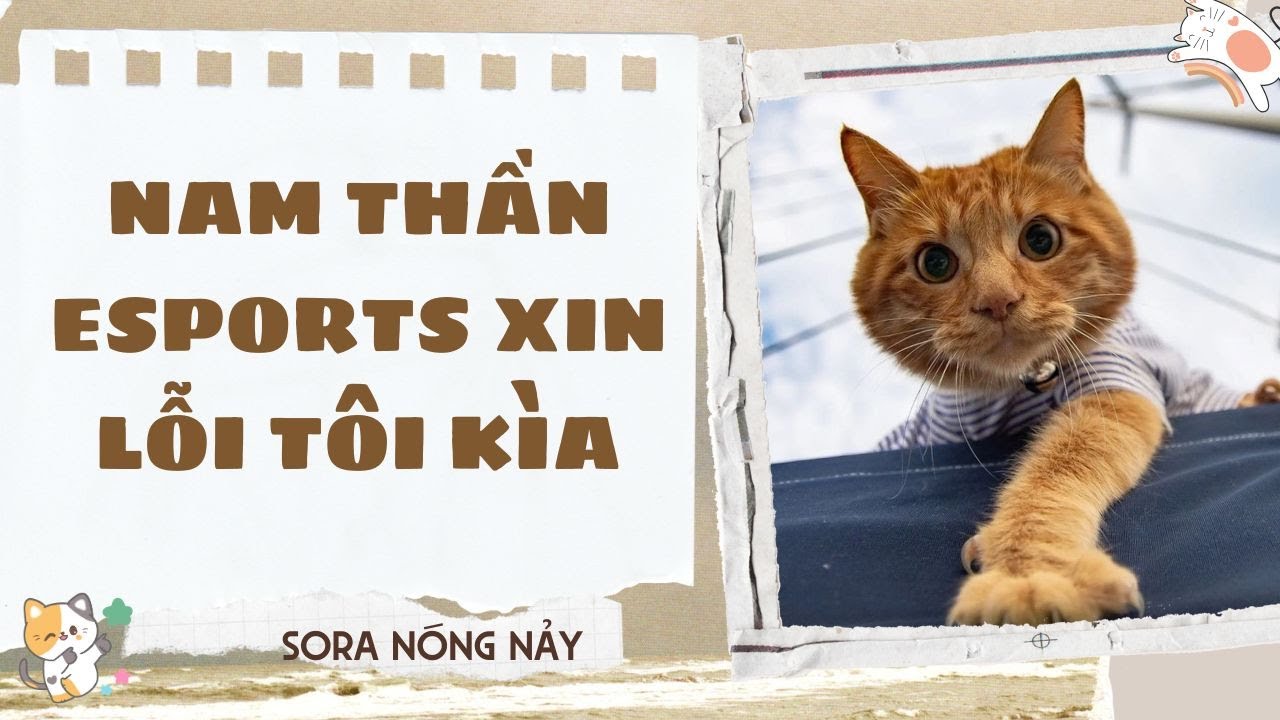 Truyện audio - [FULL] NAM THẦN ESPORTS XIN LỖI TÔI KÌA - [SORA NÓNG NẢY]