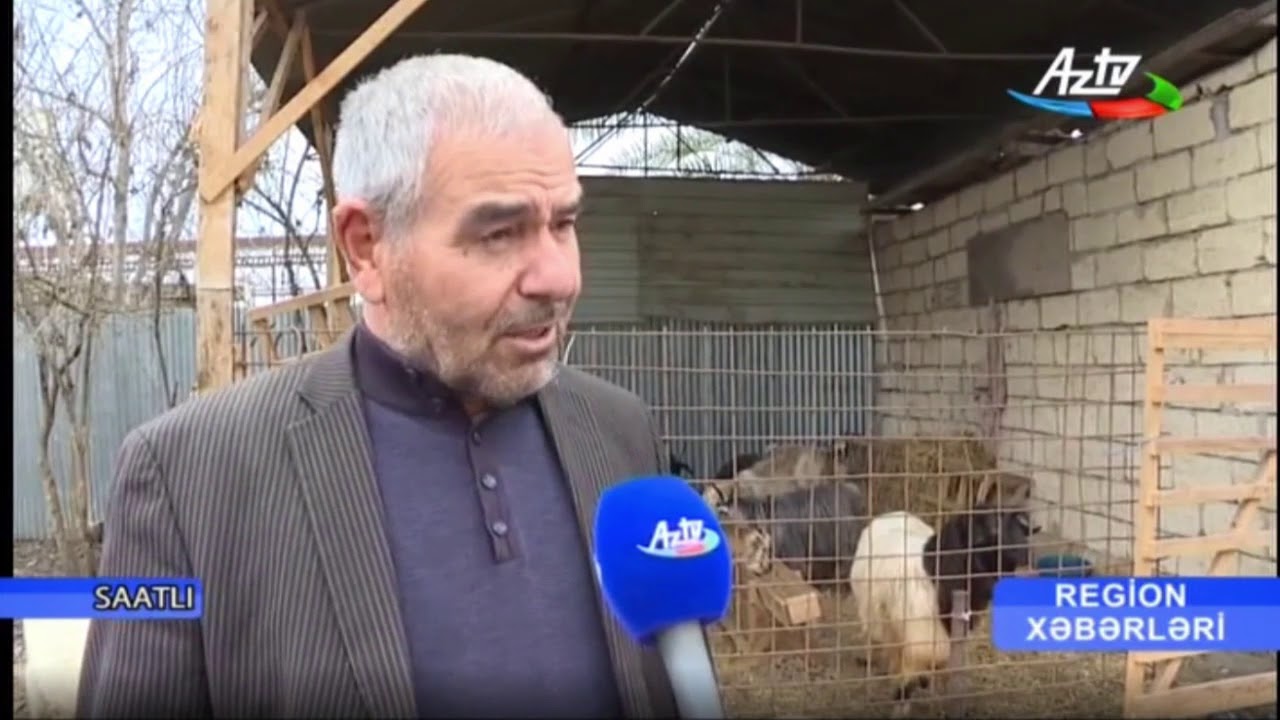 Saatlıda özünəməşğulluq proqramına qoşulanların sayı artır...