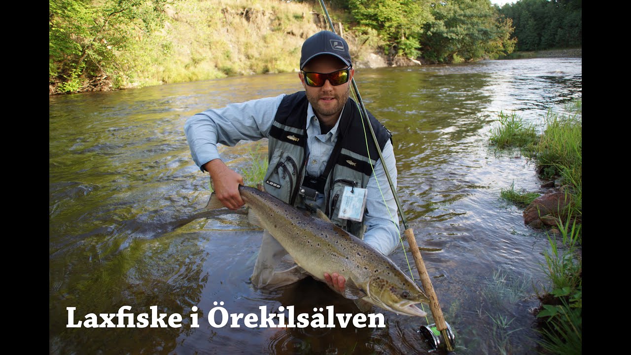 Laxfiske i Örekilsälven