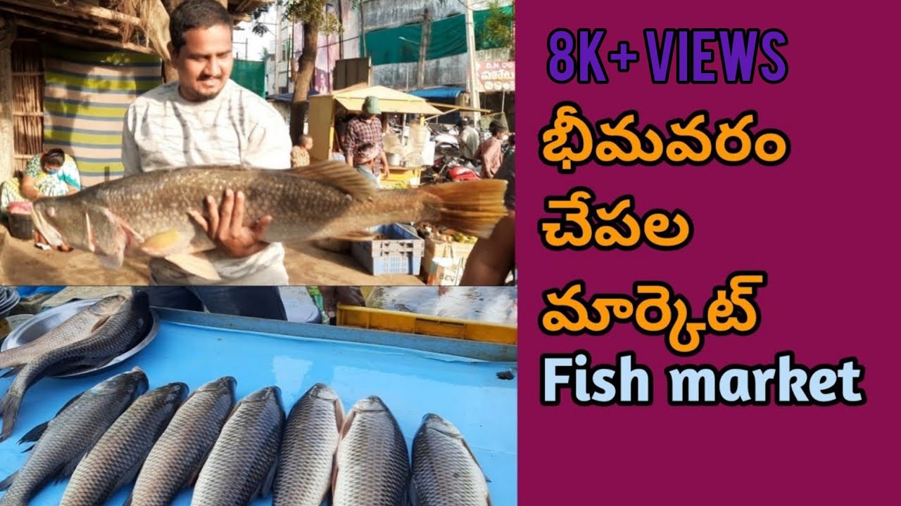 Bhimavaram fish market || West godavari district || # Fish market