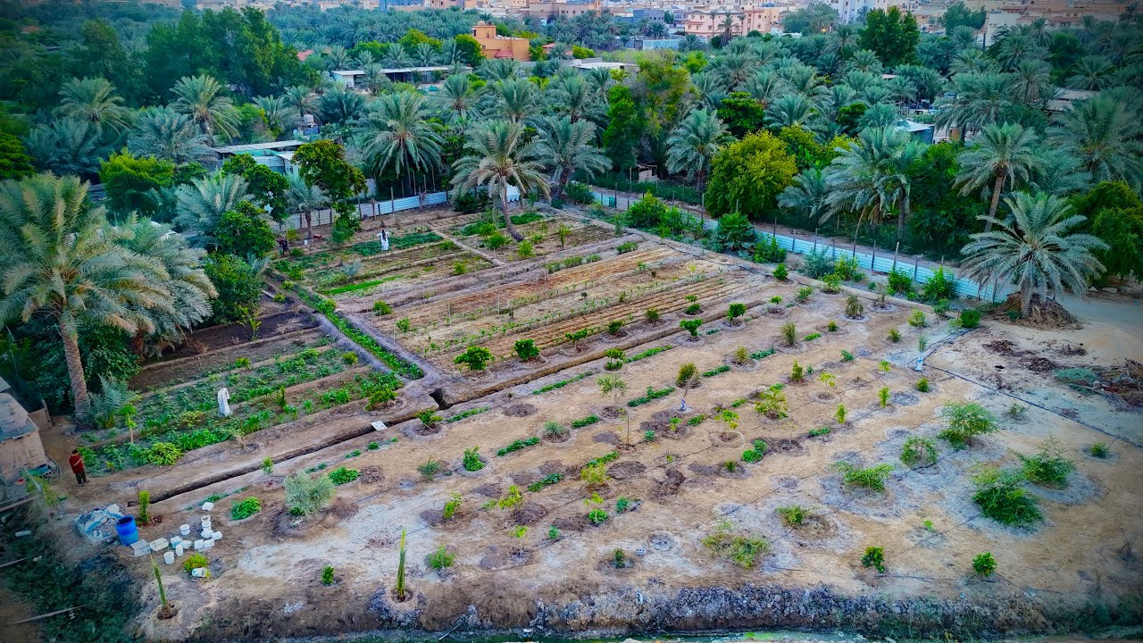 تجارب تصوير بداية الموسم ١٤٤٦هـ