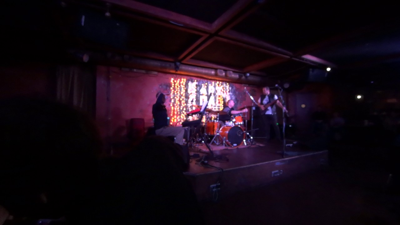 Gergo Borlai, Anton Davidyants, Alexey Bekker, concert in Novosibirsk, November 2016