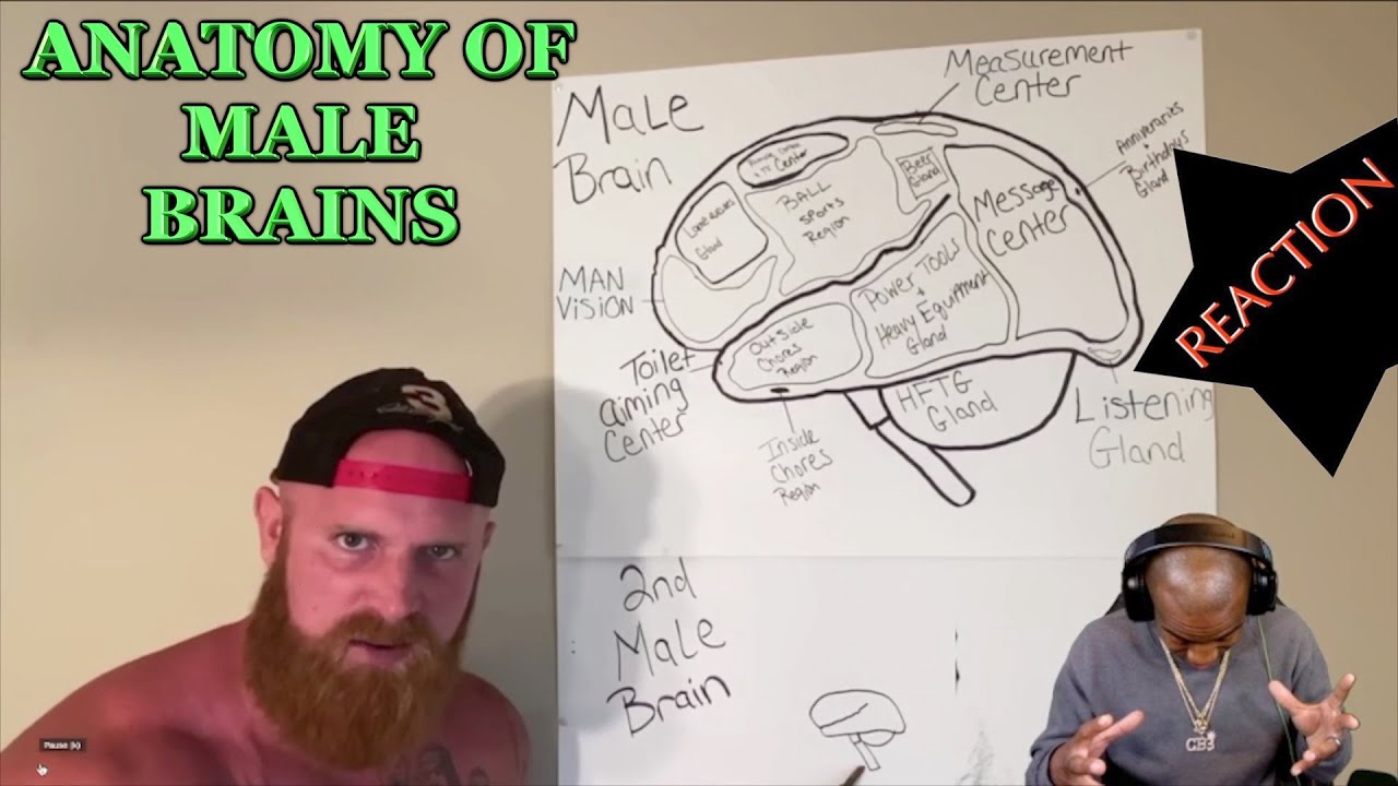 MALES HAVE 2 BRAINS [GINGER BILLY REACTION]
