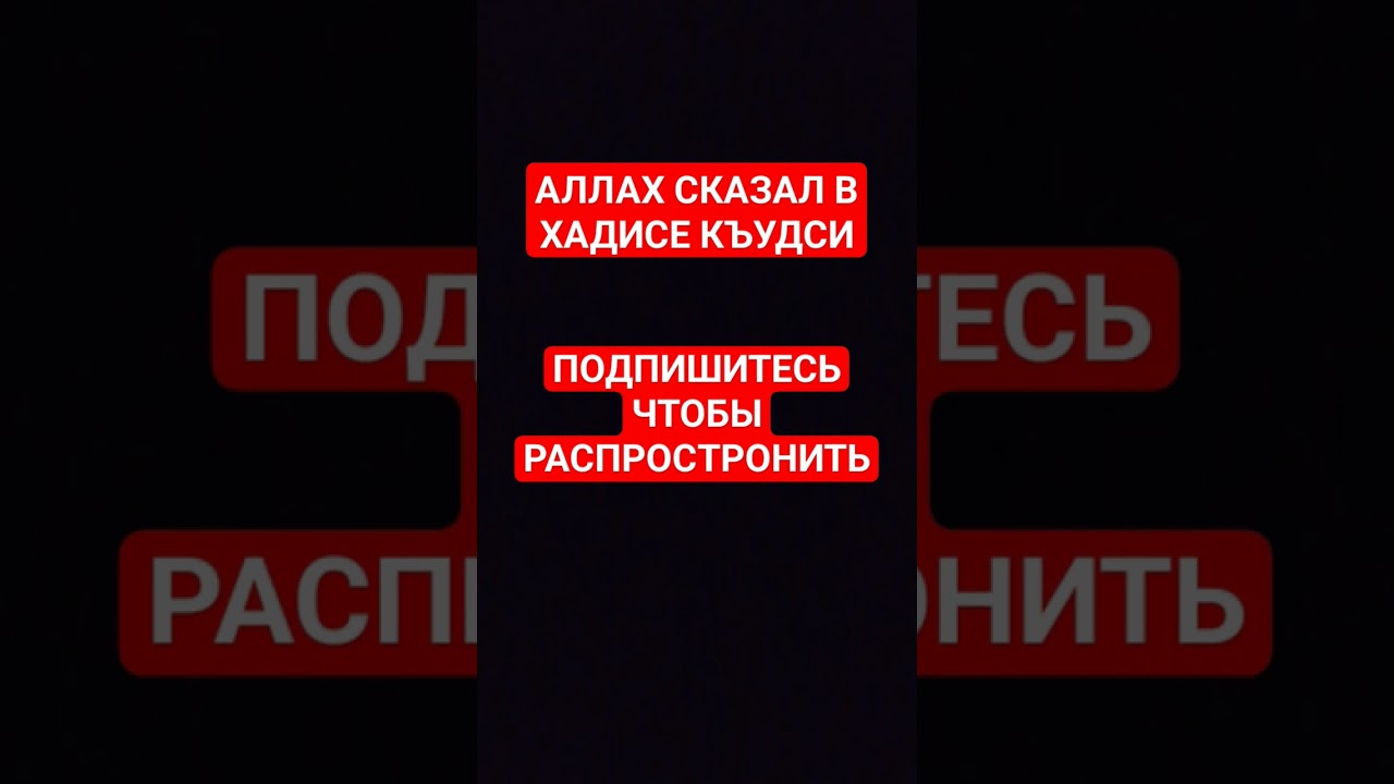 АЛЛАХ СКАЗАЛ В ХАДИСЕ КЪУДСИ | #quran #islam #религия