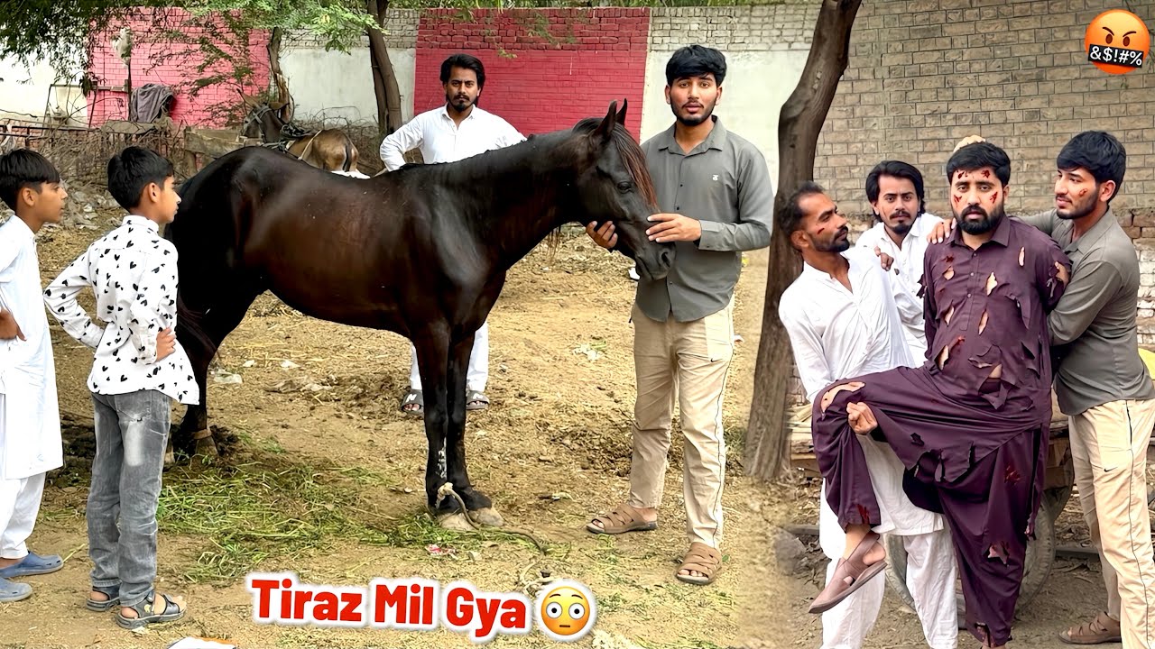 Finally Horse 🐎 (Tiraz) Mil Gya🙏 Badmash Driver Bi Pakra Gya 🤬