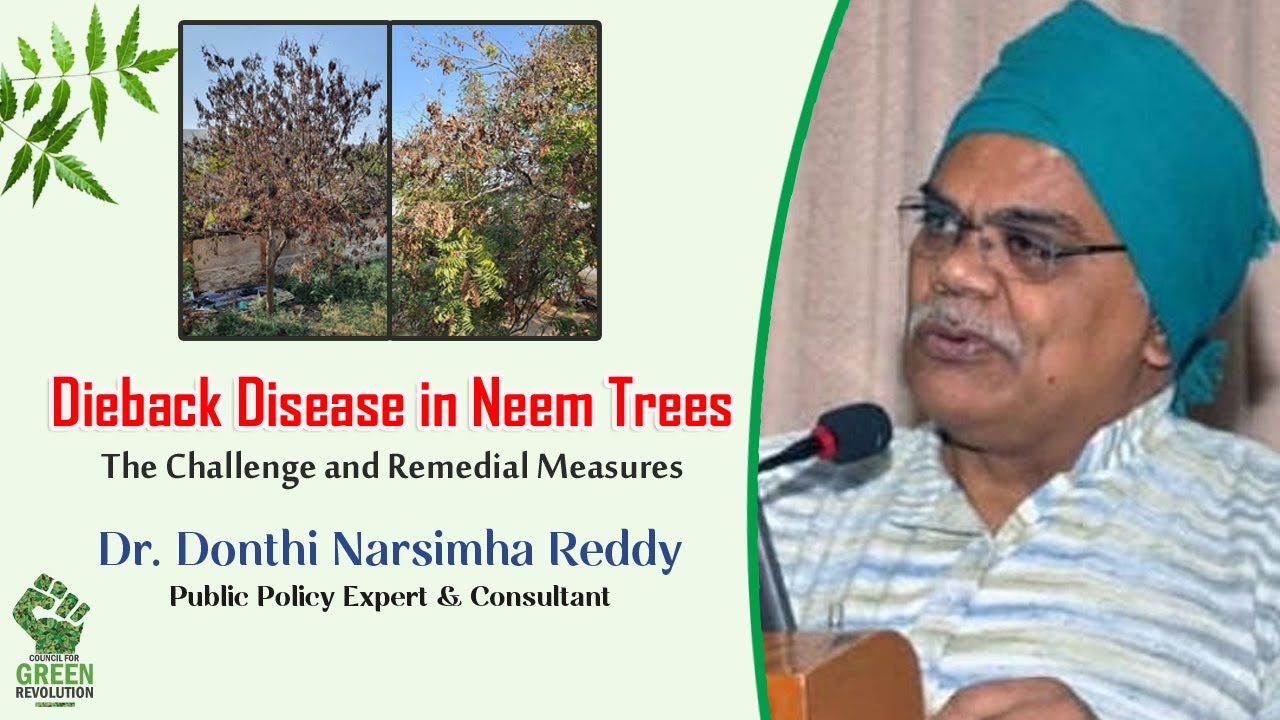 Public Policy Expert Dr. Donthi Narsimha Reddy | Dieback Disease in Neem Trees | CGR | Earth Leaders