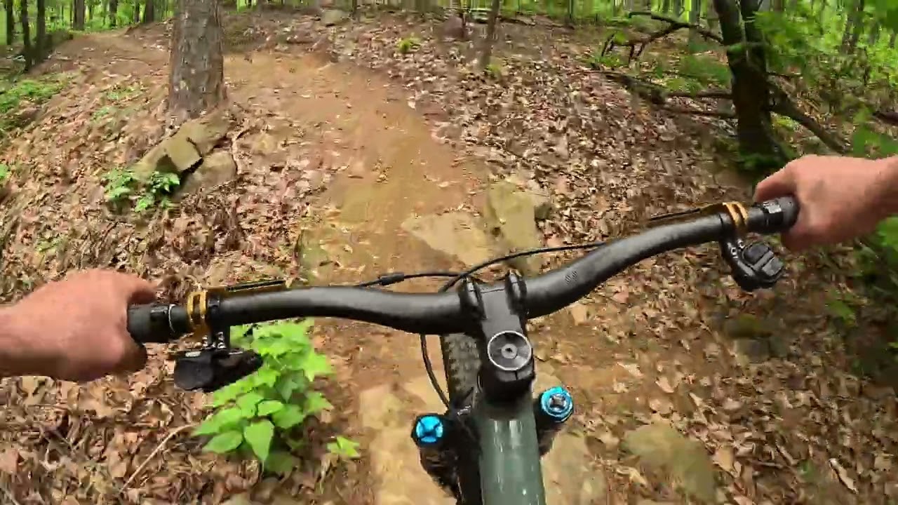 Mount Nebo Mountain Bike Trail. One of the longest Downhill trails in Arkansas