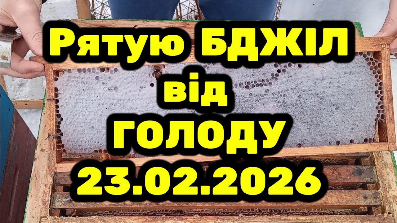 Підставляю рамку з медом в гніздо