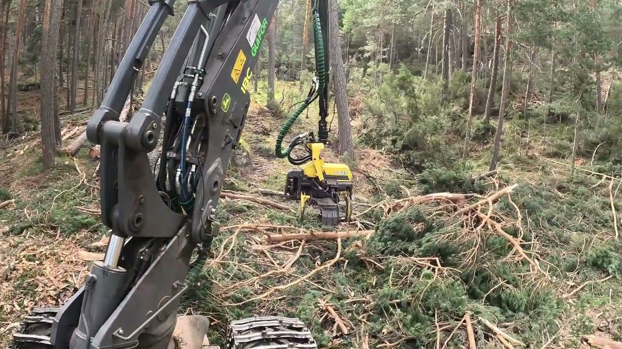 🌲 4K | Awesome Harvester 1270g machine in the forest