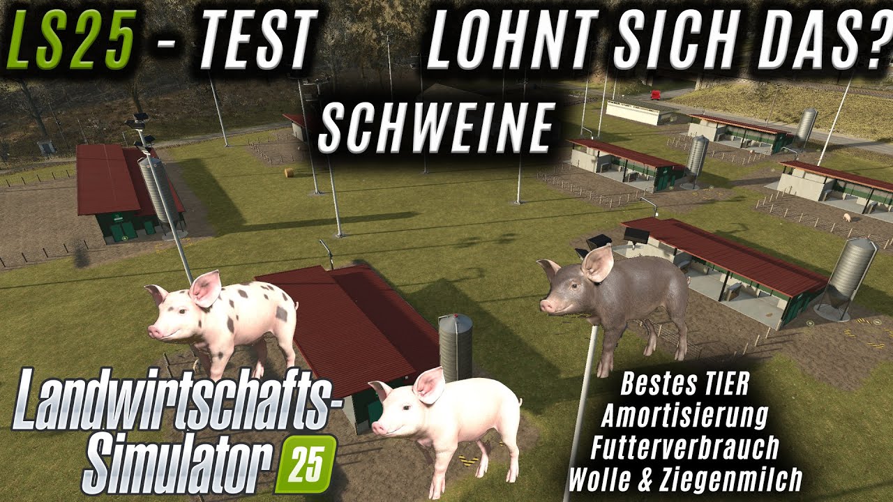 LS25 Test - Schweine -Darum lohnen sie sich mehr als im LS22!