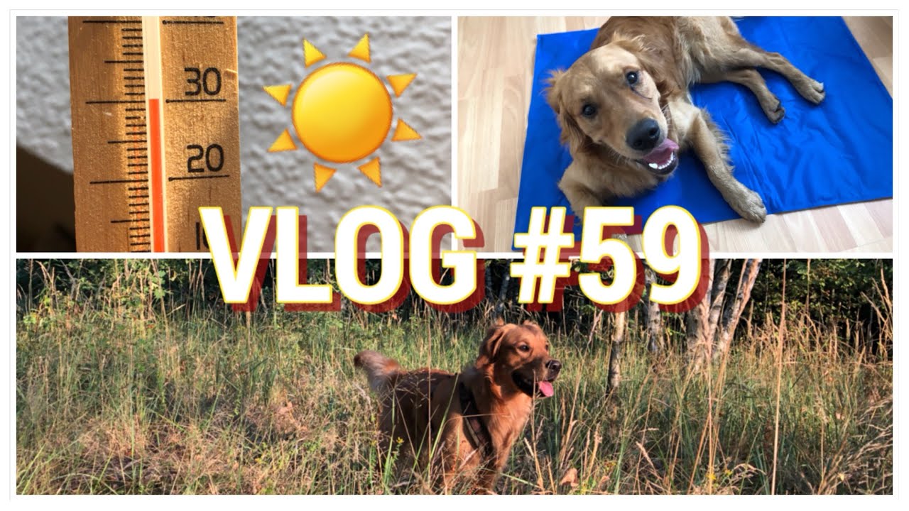 VLOG #59 / HEIß, HEIßER, SOMMER 2018 😱