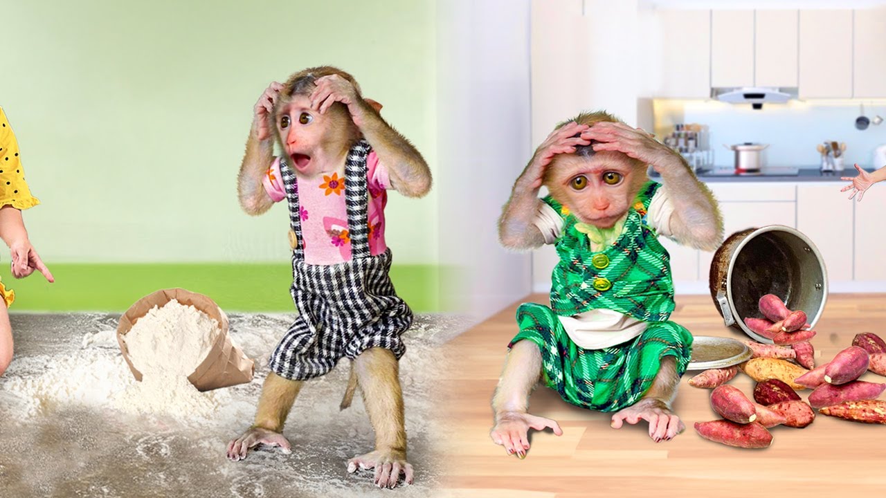Baby Monkey DauTay&rsquo;s Funniest Moments in the Kitchen!