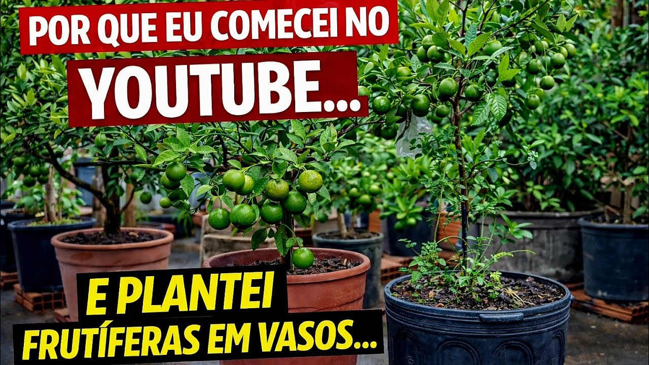 POR QUE EU COMECEI NO YOUTUBE… E COMO AS FRUTÍFERAS EM VASOS MUDARAM MINHA VIDA?? #frutíferasemvasos