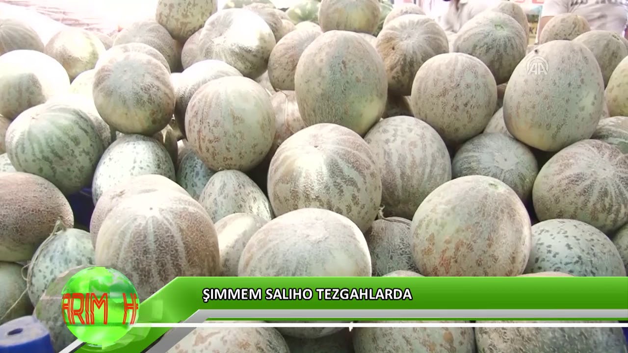 Şımmem Salıho tezgahlarda