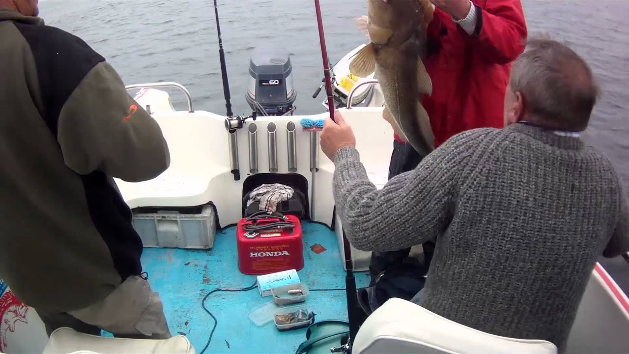 Cod Fishing Newbiggin UK 42lb 7oz