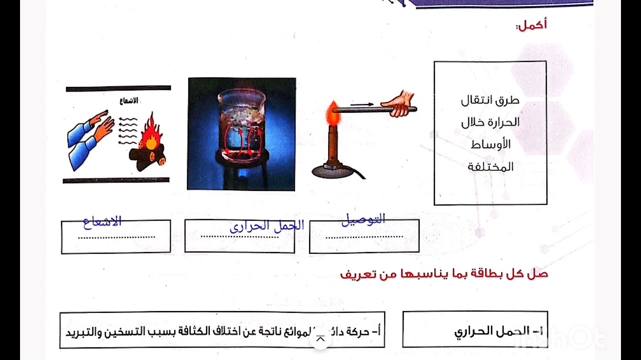 تقييمات الاسبوع ٢ علوم سادسة ابتدائى ترم تانى منهج جديد 
