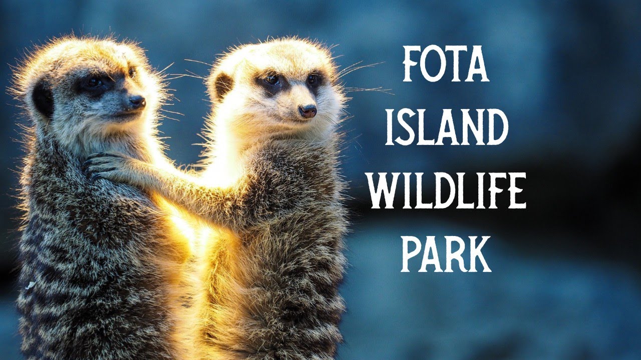 Fota Island Wildlife Park, Cork