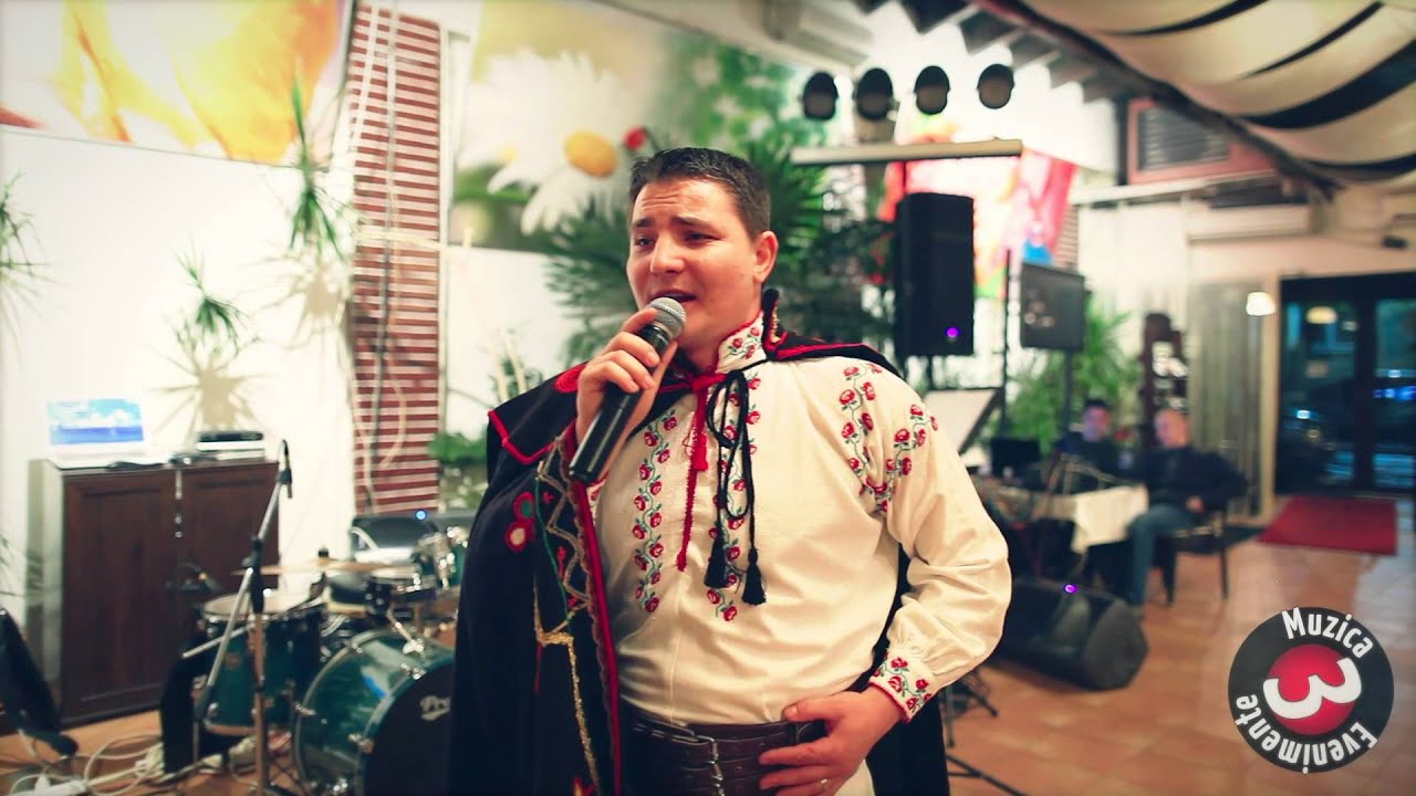 Daniel-Omule cu caii buni / Marine la nunta ta ..
