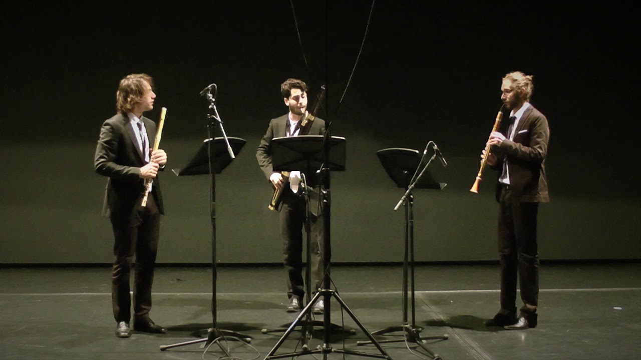 Kaspar Kummer trio op. 32 - II. Andante grazioso [Academia de los Afectos]