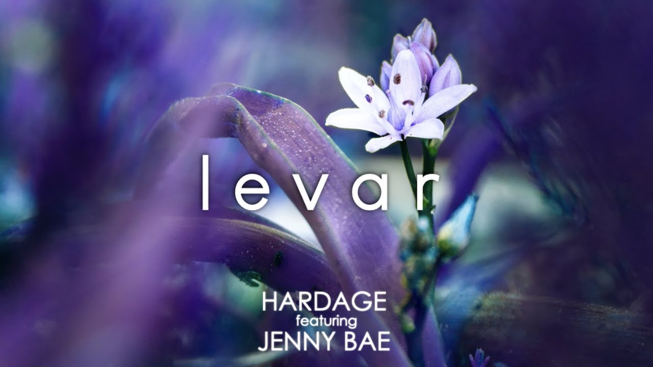 Hardage - Levar (featuring Jenny Bae) - Violin Electronic Music