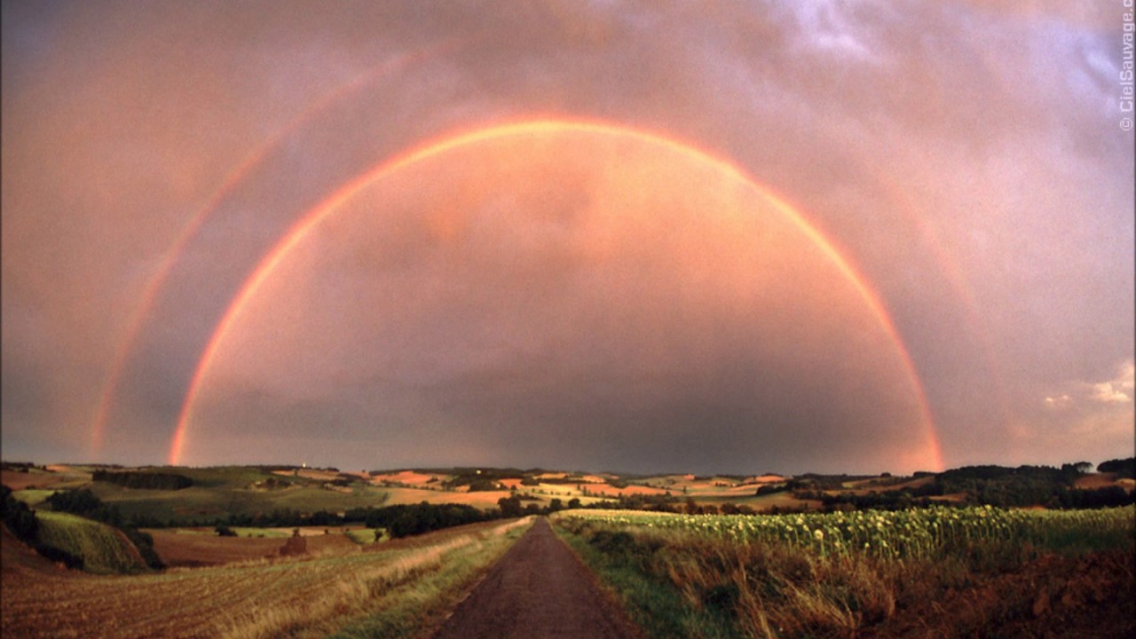 IL EST TEMPS- Philippe Decourroux