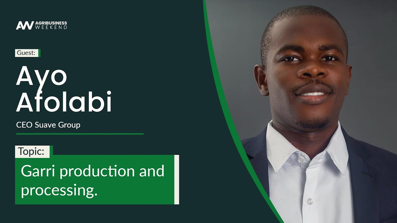 GARRI PRODUCTION AND PROCESSING | Ayo Afolabi