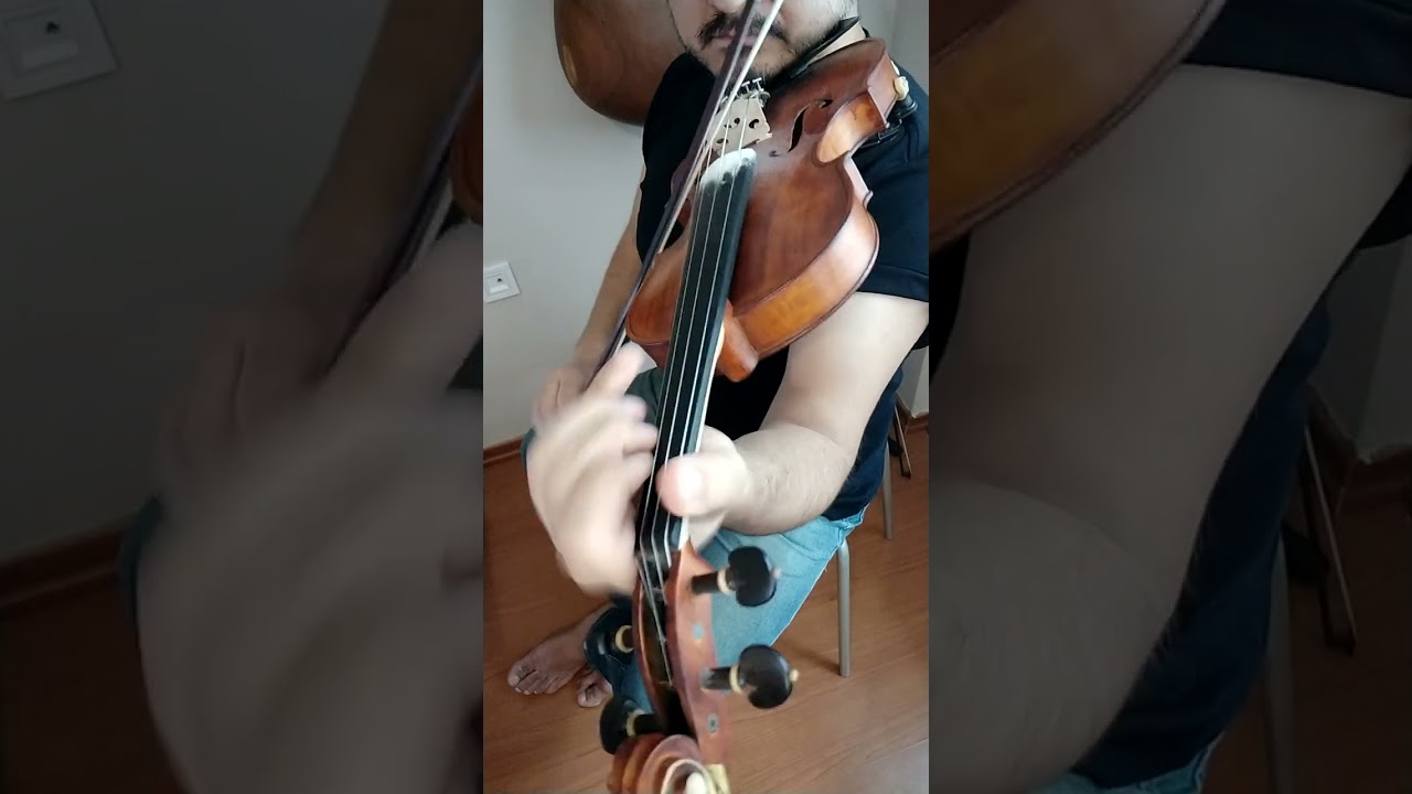 Bırakın Gitsin (keman)🎻