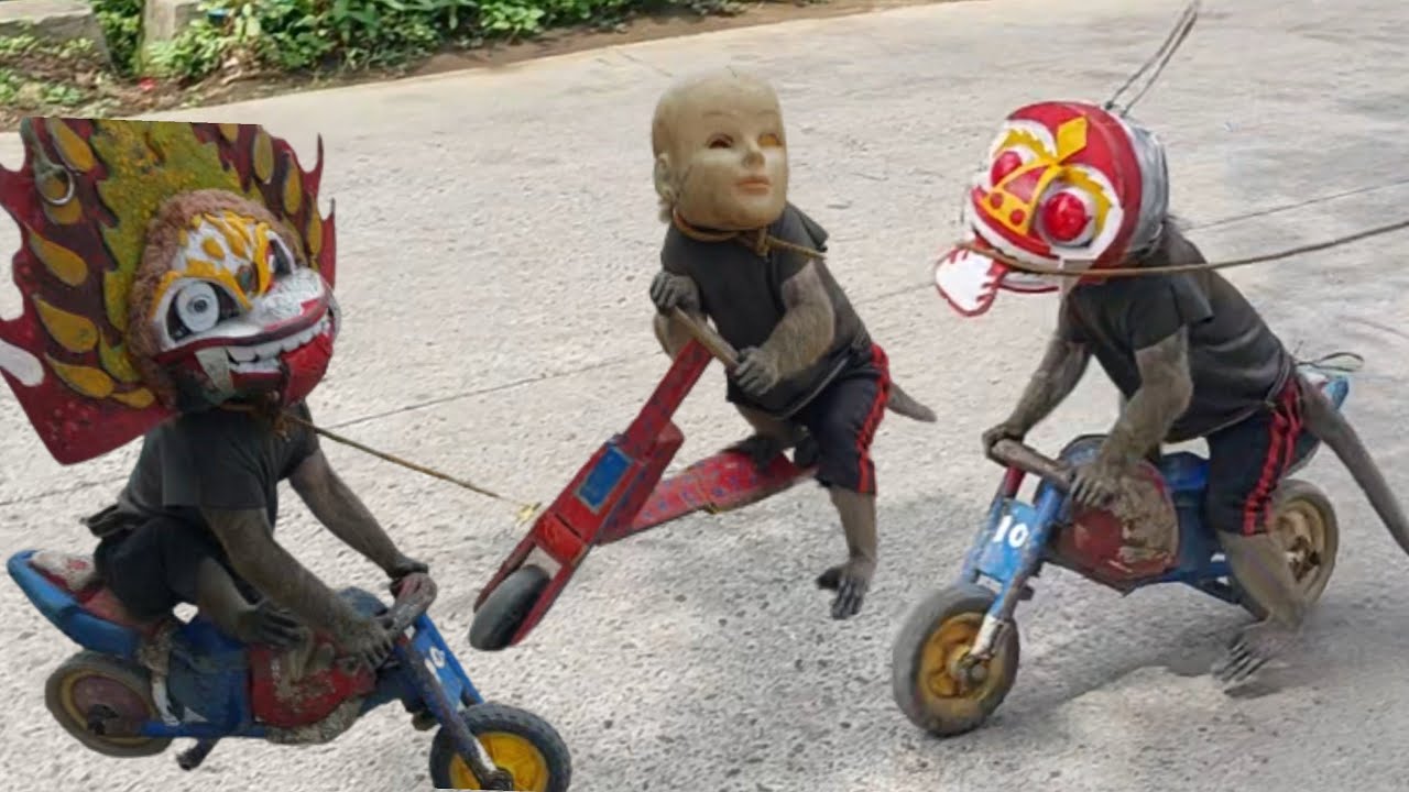 FUNNY MONKEY, TOPENG MONYET LUCU Full Attraction Topeng Monyet Lucu Funny Monkey 2023