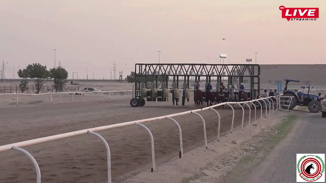 بث مباشر - مضمار الشيخ صباح الناصر الصباح - الأجتماع الثانى -  لموسم 2024-2025