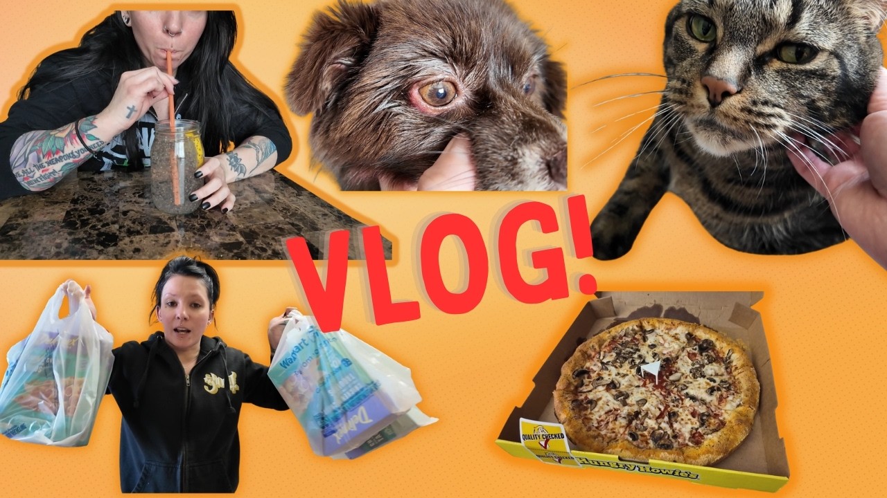 VLOG: January-February 2026 | Trying Chia Water, Grocery Haul, Pet Drama, & Cheat Day!