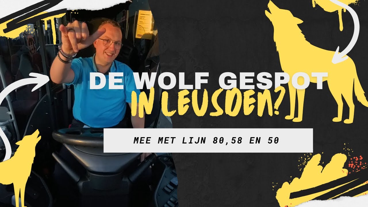 Langs De Wolf met Lijn 80!!?!? | VOLG DE BUSCHAUFFEUR #POVVLOG 2