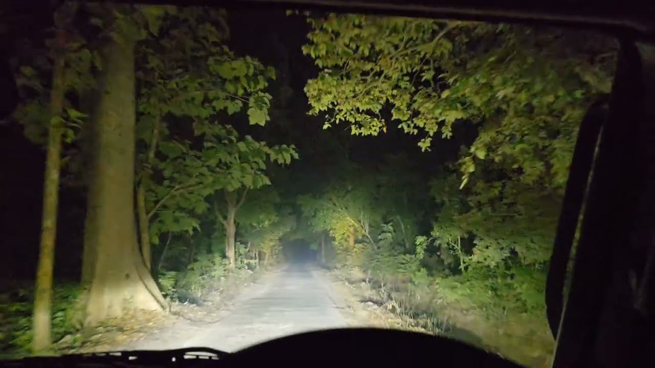 Night Drive At Jim Corbett National Park ! कॉर्बेट की रात ने सब कुछ उजागर कर दिया! सिस्टम भटक गया है
