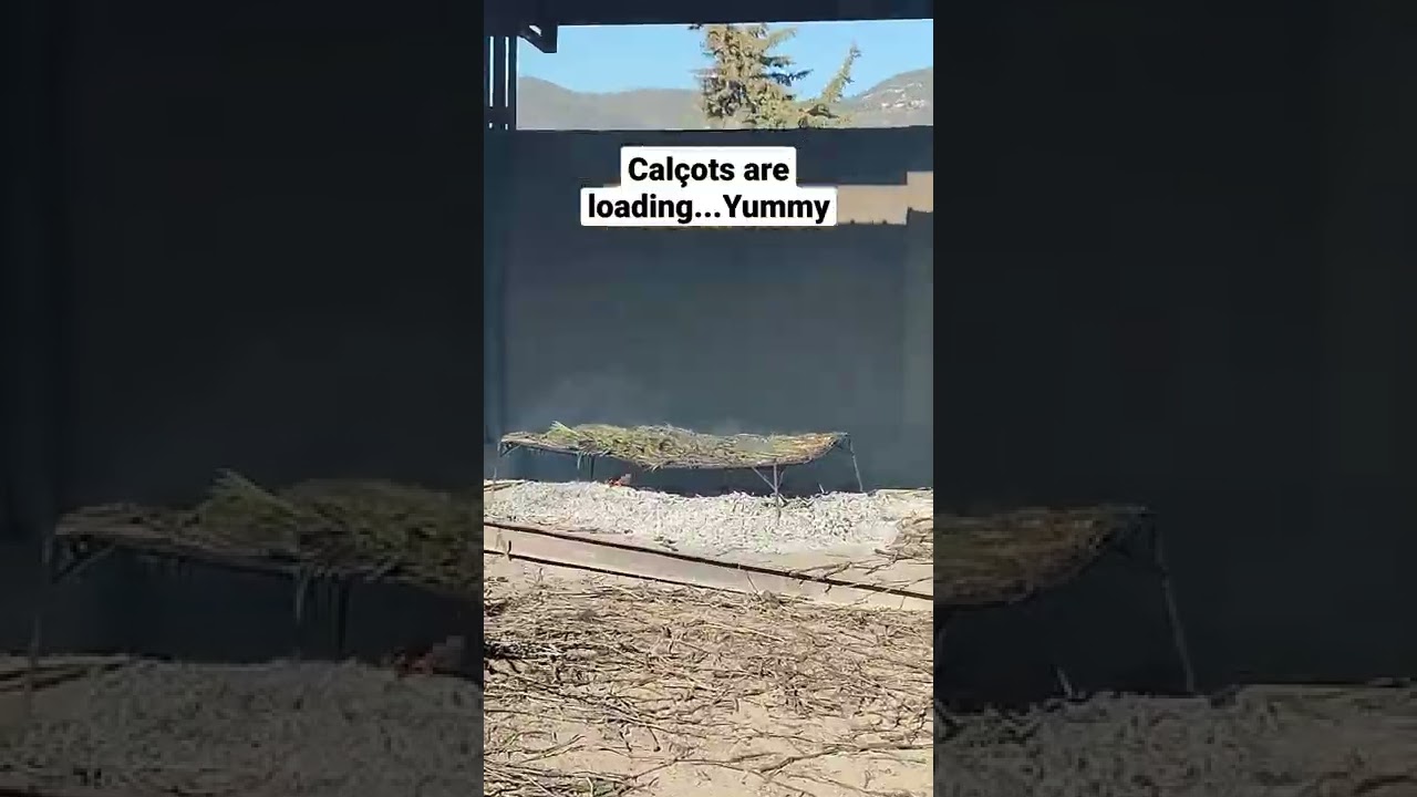 Calçots time in Barcelona. This is the way how it is cooked. 