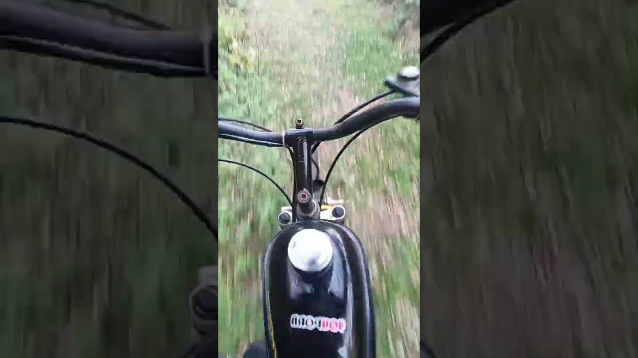 test bici a motore nei boschi ( primo video )