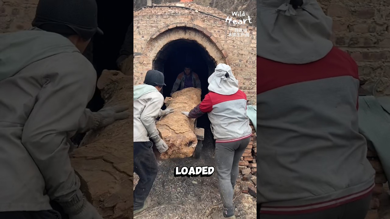 How Giant Charcoal Is Made