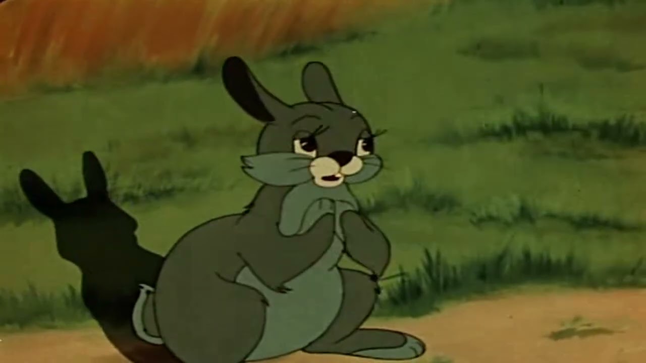 1955 год   Остров ошибок