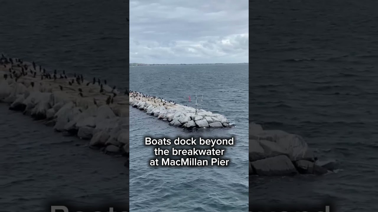 What it's like taking a ferry between the city of Boston and Provincetown, Massachusetts on Cape Cod