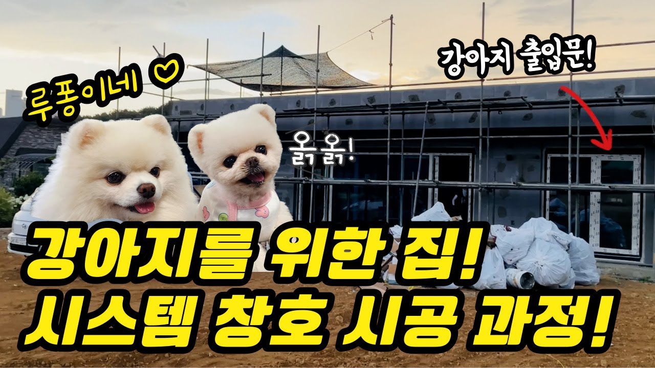 강아지 루퐁이네 집에 시스템창호 들어가요~