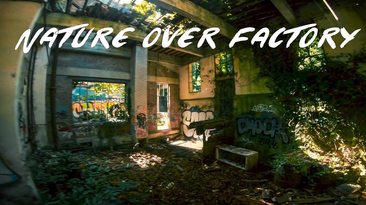 Cinematic - Nature over Factory
